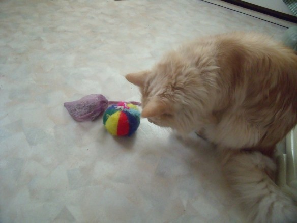 I see it - hiding under my baggie