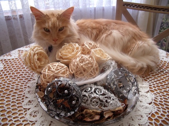 Orlando and potpourri 1