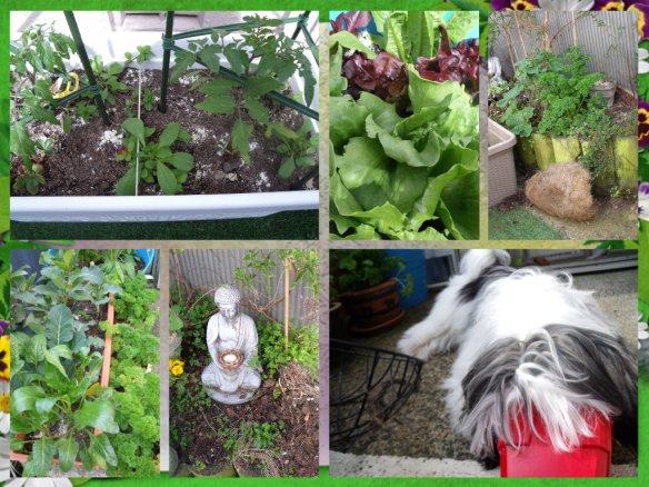 pizap.com14126447275371