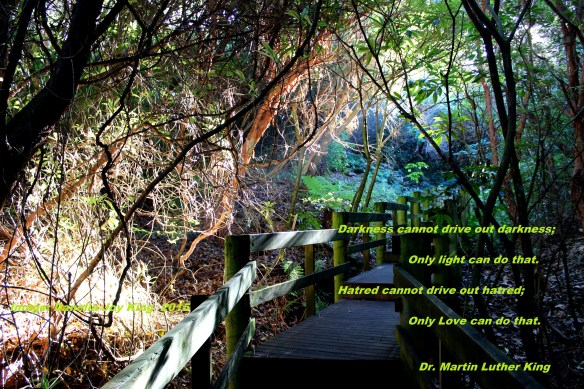 sunnyglowDJK  MLK Quote