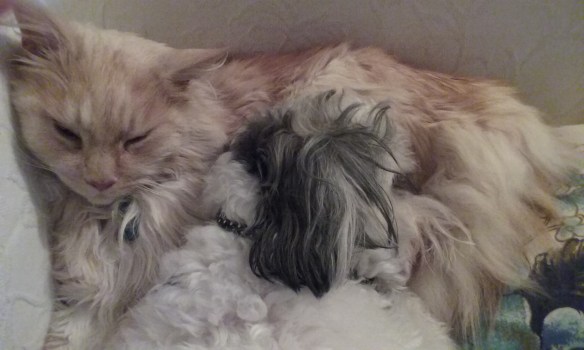 S&O cuddling1 5 9 15