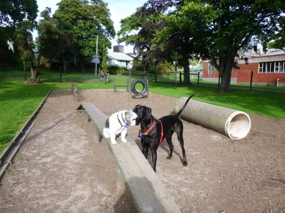 siddy-meets-spook-18-2-17