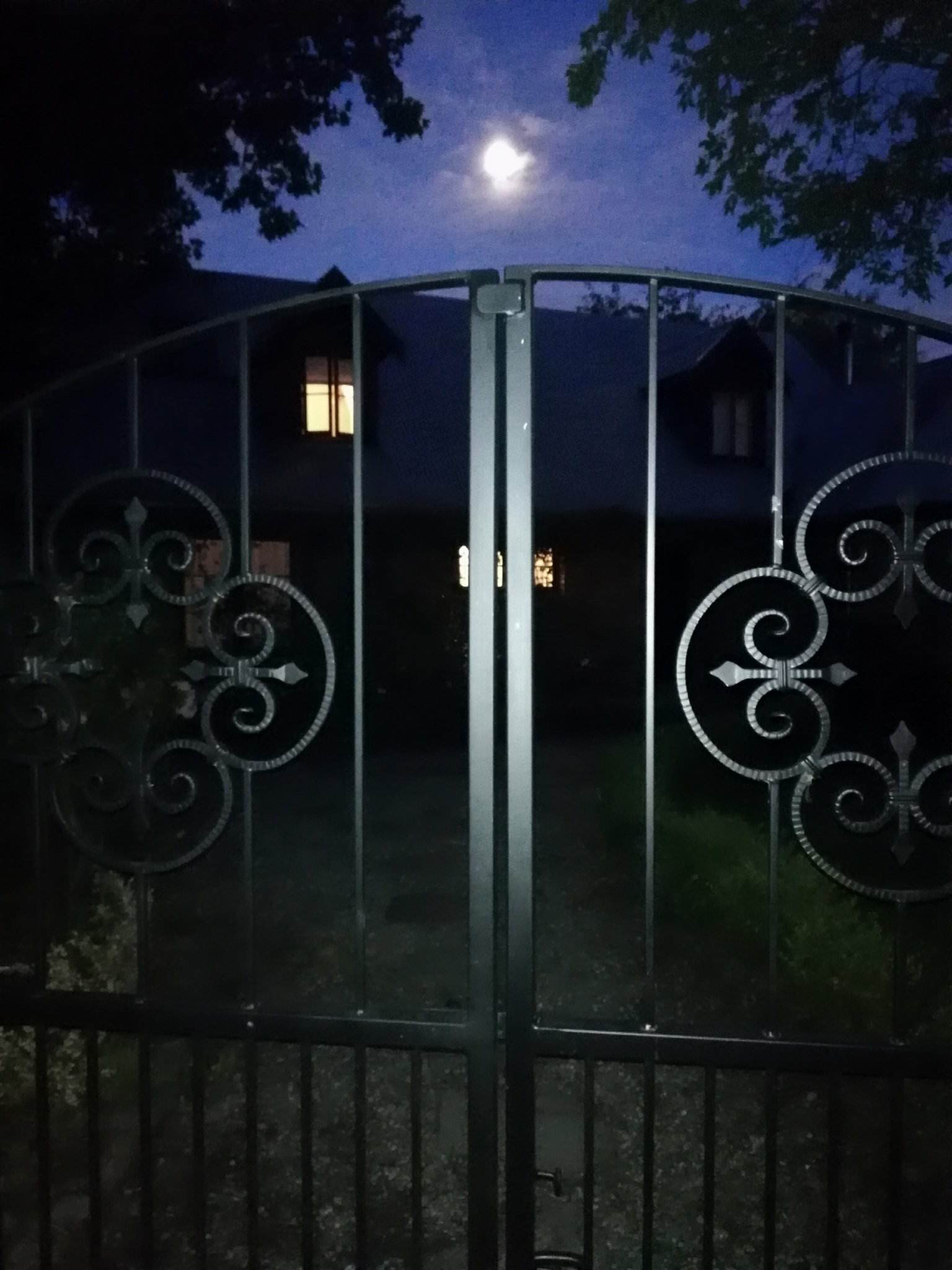 Early morning walk March 4