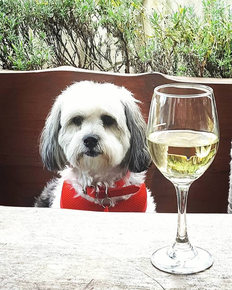 Final lunch Frankton Arms March 9 LB